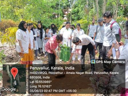 Environmental Day